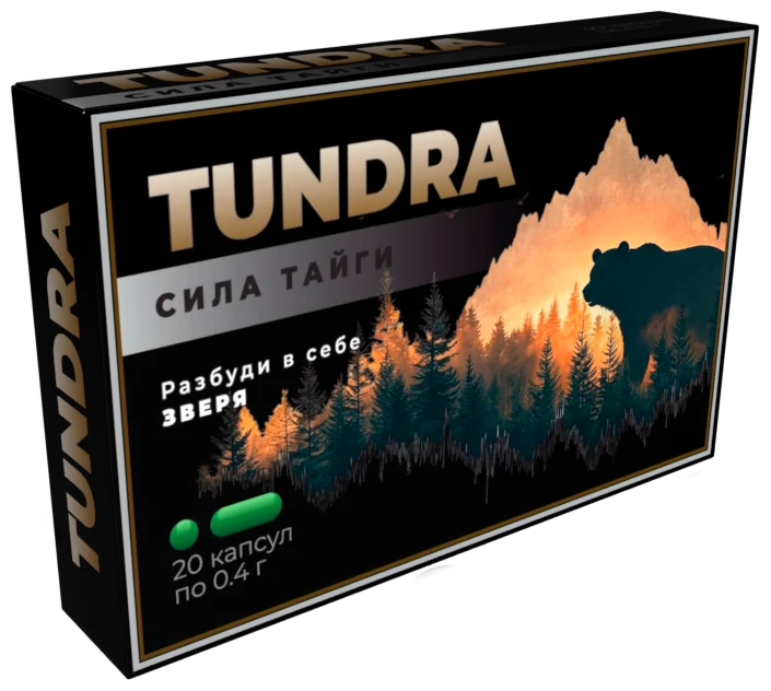 Тундра